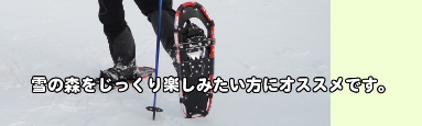 スノーシューの説明その2