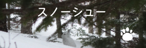 スノーシュー